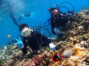 浅瀬でハマクマノミ発見