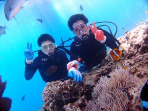 沖縄の海でクマノミ観察