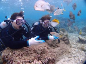 沖縄で沢山の魚に囲まれてダイビング